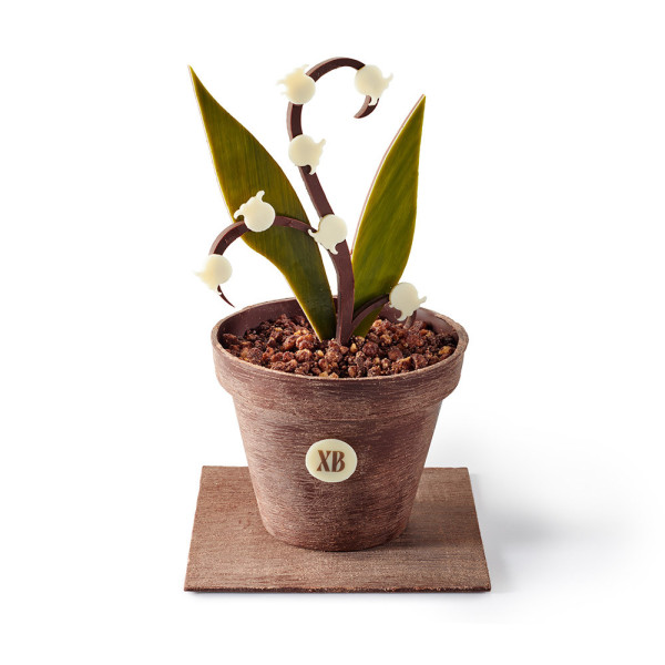 Muguet chocolat lait