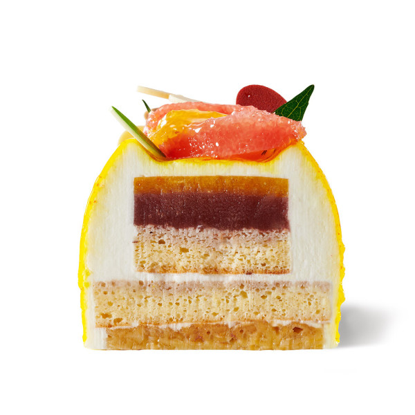 BÛCHE CITRUS (taille unique 6/8 personnes)